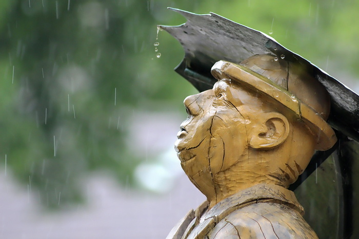 雨，伞，暴雨，水，水滴，人物，木头，天气
