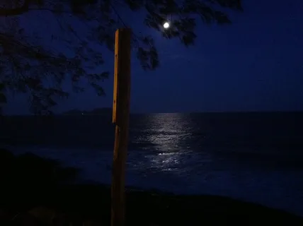 月光,海洋,夜晚,海洋,自然,水,亮度,月亮 月光,海洋,夜晚,海洋,自然,水,亮度,月亮