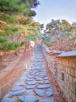 石板、小路、人行道、韩国、户外、人行道、人行道、道路