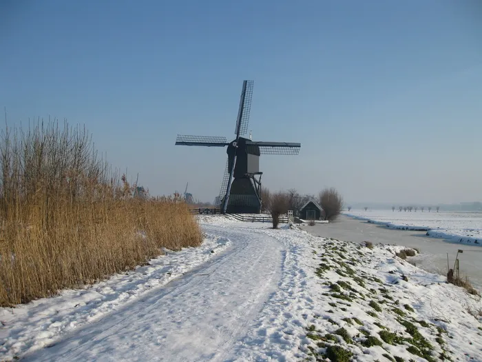 kinderdijk，荷兰，molina，冬季景观，雪，低温，冬季，环境
