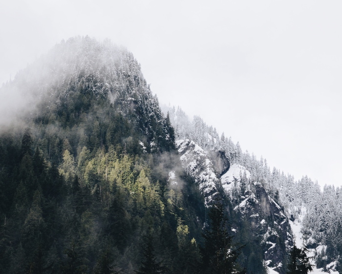 山，小山，雪，寒冷，冬天，树木，森林，森林