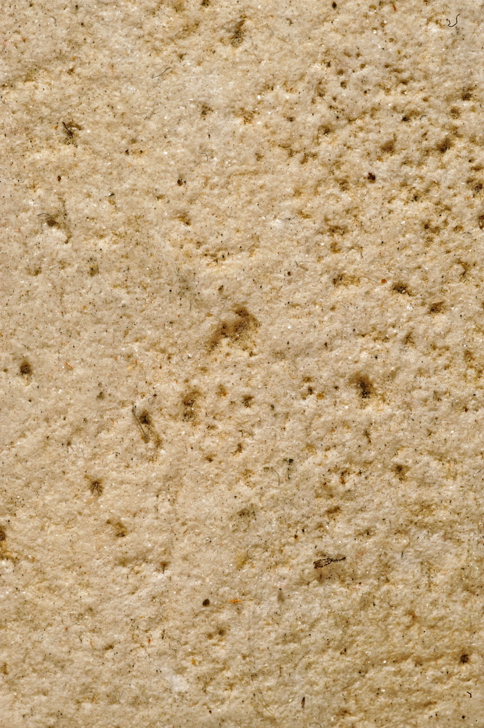 萨西、化石、岩石、墙壁、颜色、纹理、油漆、框架