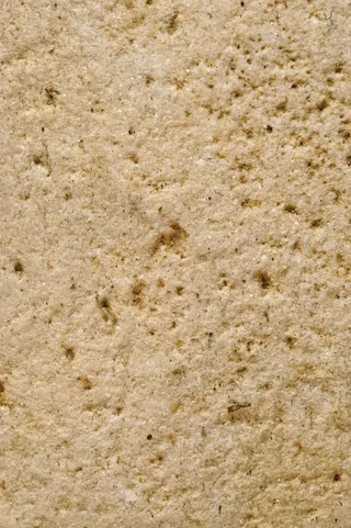 萨西、化石、岩石、墙壁、颜色、纹理、油漆、框架