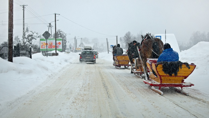 拉我的雪橇，冬天，路，雪，交通工具，雪橇，马，雪橇