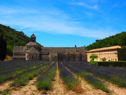 塞南克修道院,修道院,修道院,塞南克圣母院,西多会骑士团,法国沃克卢斯戈尔德 塞南克修道院,修道院,修道院,塞南克圣母院,西多会骑士团,法国沃克卢斯戈尔德