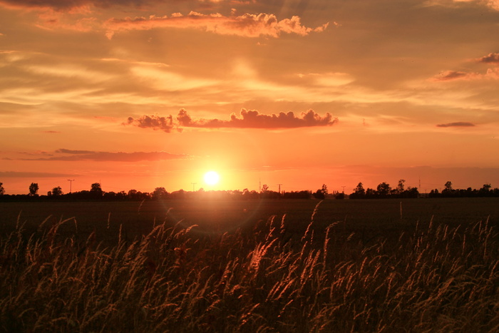 日落, abendstimmung, 余辉, 阳光, elbaue, prettin, 剪影, 云-天空