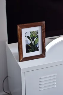 带边框的绿叶植物照片 带边框的绿叶植物照片
