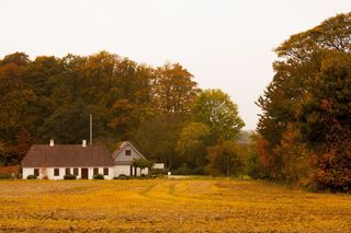丹麦，家，下午，自然，房子，外观，丹麦语，树