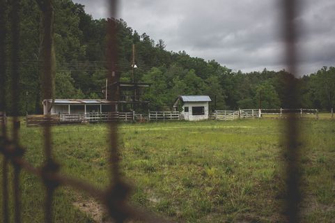 桶，桶，马，马，弗吉尼亚州，农场，土地