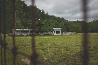 桶，桶，马，马，弗吉尼亚州，农场，土地