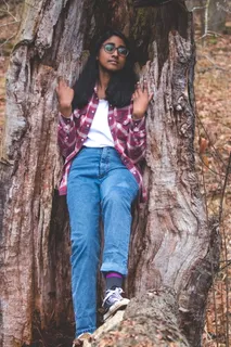 加拿大、uxbridge、wild、nature、gree、forest、wood、tree