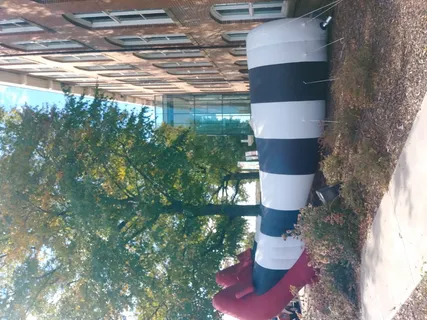 美国，哥伦比亚，南卡罗来纳州立博物馆，探索，体验，巫师，电影，童年