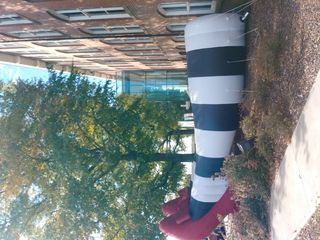 美国，哥伦比亚，南卡罗来纳州立博物馆，探索，体验，巫师，电影，童年