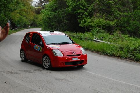 汽车、赛车、漂流、运输、运输方式、机动车、树木、植物