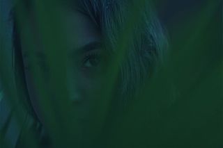 美国，休斯顿，a6500，太阳神，m44，灯塔，自然，植物