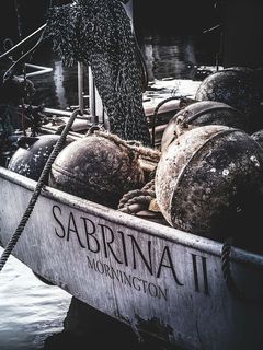 sabrina ii mornington船，海，水，海洋，捕鱼，船，户外，绳索