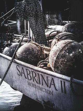 sabrina ii mornington船，海，水，海洋，捕鱼，船，户外，绳索