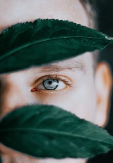 绿叶、脸、眼、叶、绿色、白种人、视图、特写