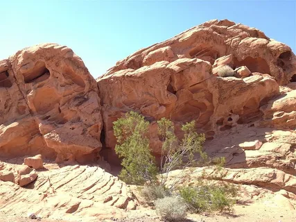 褐石山,岩石,地层,绿色,灌木,显示,白天,岩石 褐石山,岩石,地层,绿色,灌木,显示,白天,岩石