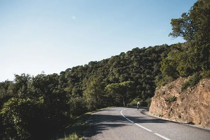 在树木环绕的弯曲道路上骑乡村公路自行车的人