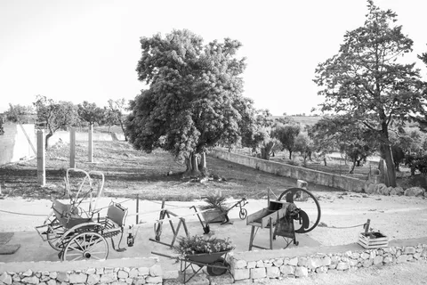 靠近树木的工业机器