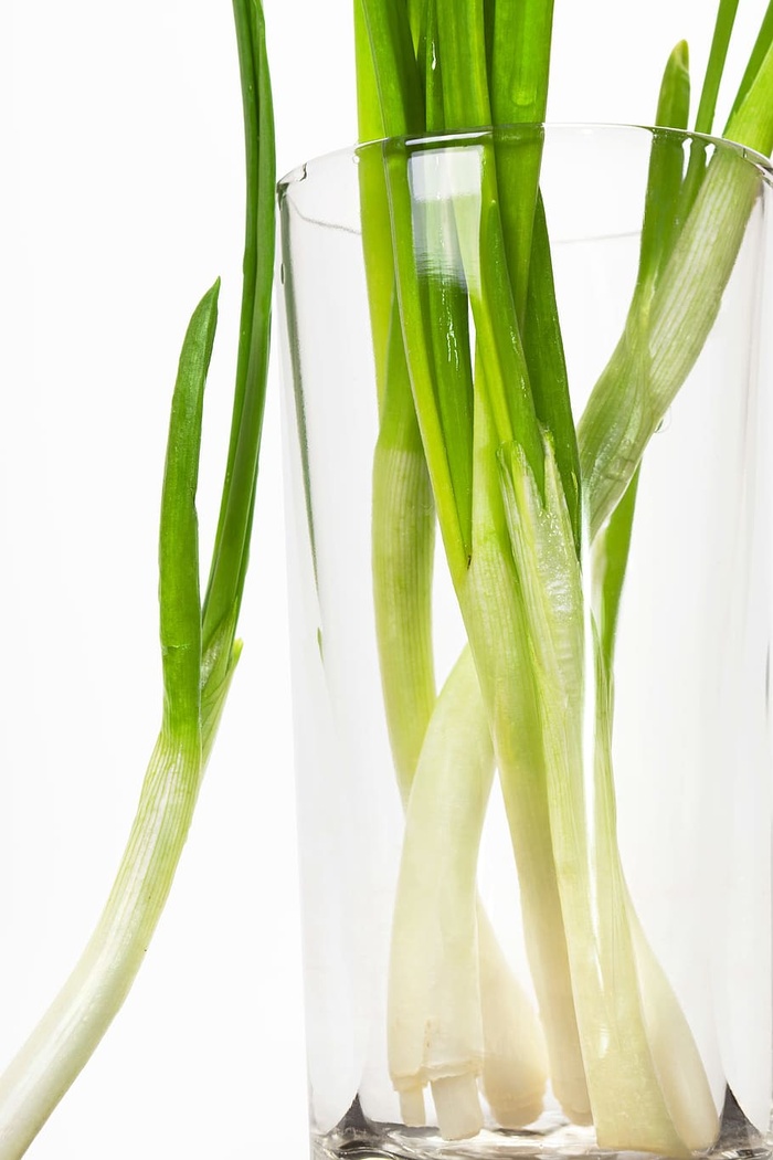 洋葱，绿色，春天，新鲜，烹饪，特写，饮食，美食