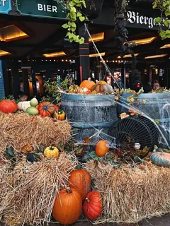 南瓜,南瓜,植物,蔬菜,农产品,植物,食品,南瓜 南瓜,南瓜,植物,蔬菜,农产品,植物,食品,南瓜