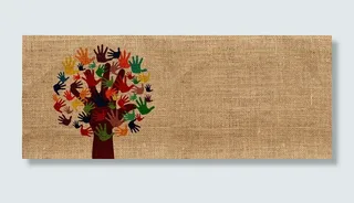 融合、志愿者、手、树、成长、自愿、包裹、保护