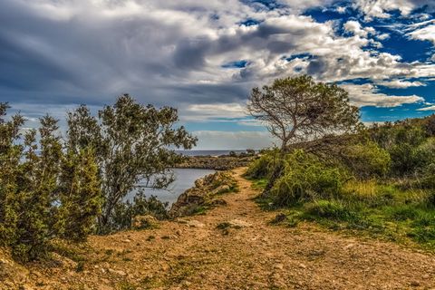 绿色，树叶树，草，悬崖，大海，多云，天空，小路