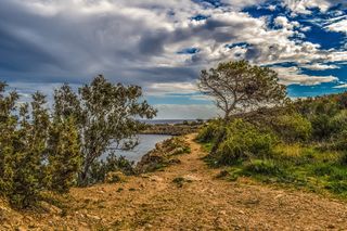 绿色，树叶树，草，悬崖，大海，多云，天空，小路