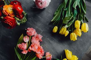 灰色背景上的彩色花朵，带有复制空间