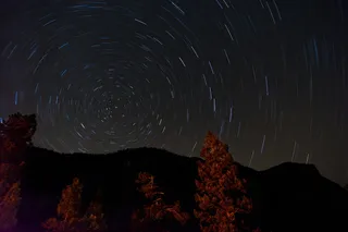 树木，星空，延时摄影，照片，展示，星系，时间，延时