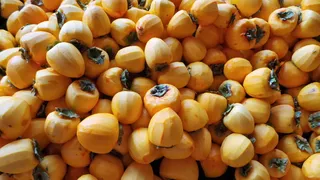 柿子，柿子干，水果，吉利，食品和饮料，食品，健康饮食，全框架