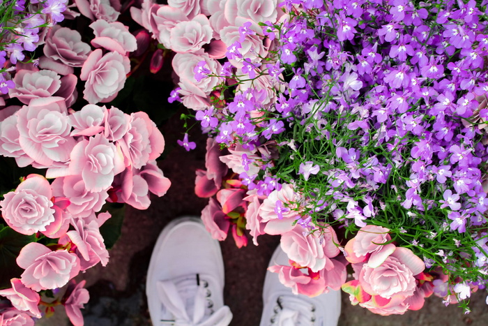 什锦花坛