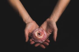 深色、手、手臂、手掌、花、人的手、菜鸟图库、手持