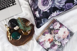 Violet 2018日计划