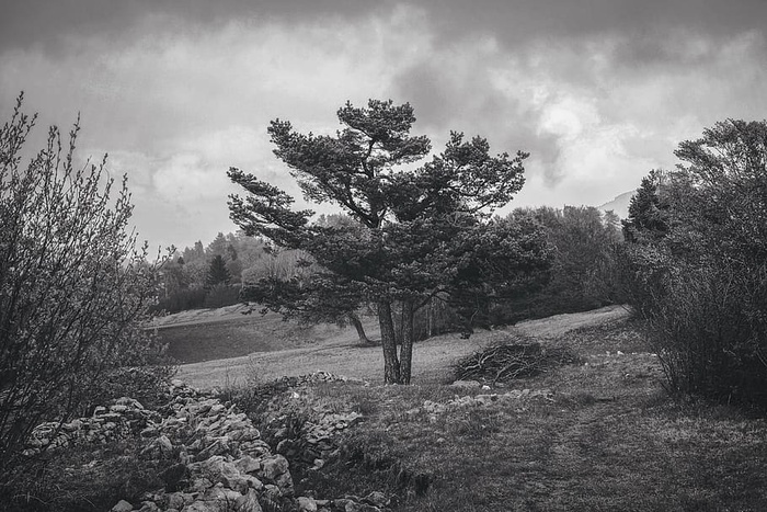 云、日光、风景、自然、户外、岩石、风景、天空