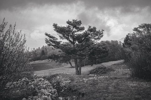 云、日光、风景、自然、户外、岩石、风景、天空