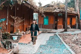 白天在布朗家附近散步的女人