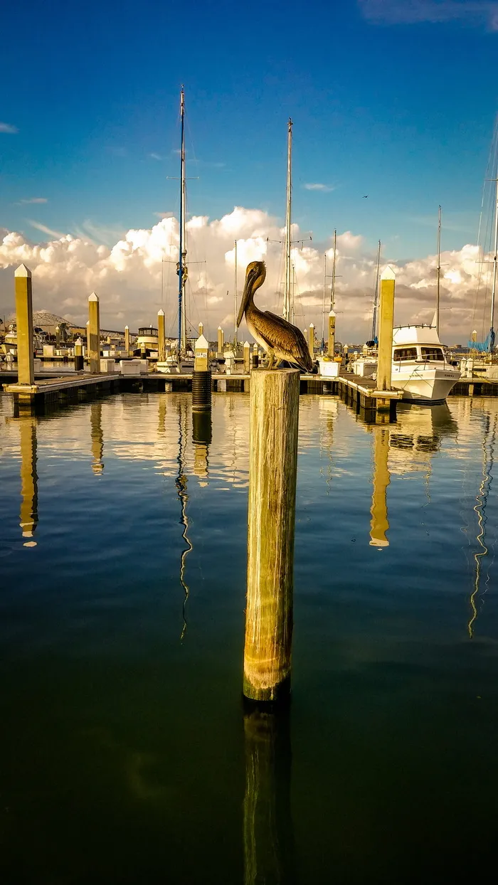 美国，科珀斯克里斯蒂，67人圣t头，水，反射，天空，云天，海滨