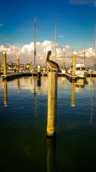 美国，科珀斯克里斯蒂，67人圣t头，水，反射，天空，云天，海滨