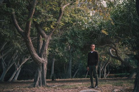 被树木包围的人