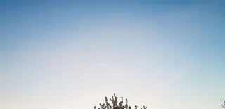 荷兰、布雷达、树木、橙色、青色、白色、条纹、飞机