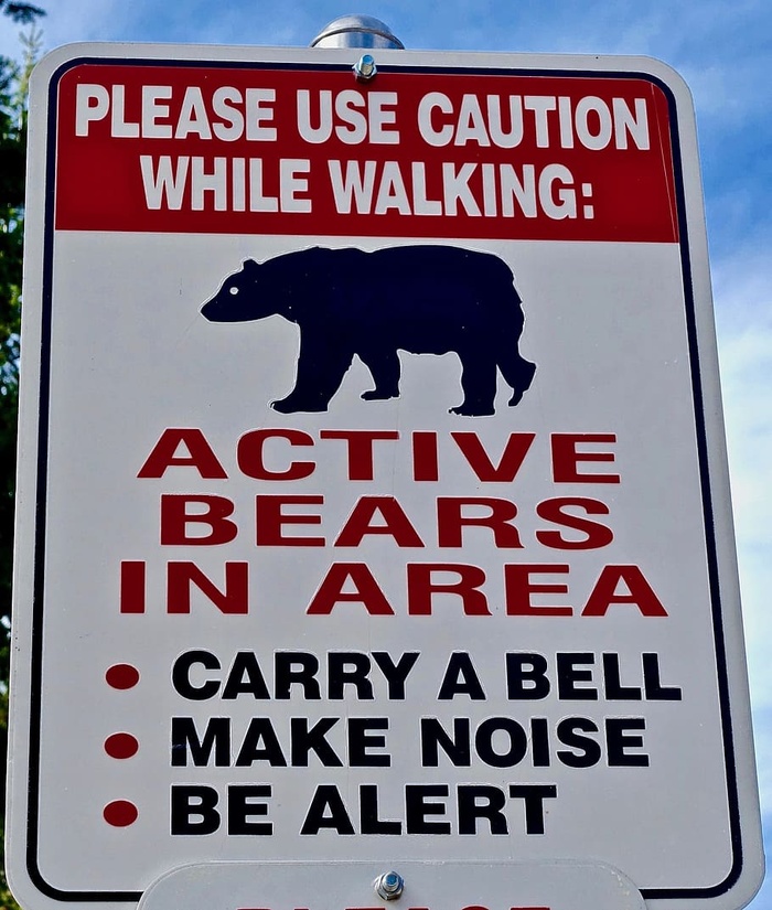 符号，警告，标志，熊，图标，警告，标志，危险，危险