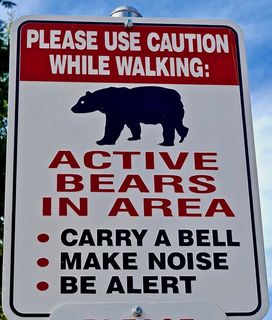 符号，警告，标志，熊，图标，警告，标志，危险，危险