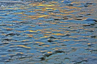 冰, 太阳, 冷, 冰冻, 弗罗斯特, 寒冬, 水, 全画幅