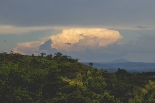 绿色，田野，白色，多云，蓝色，天空，树木，覆盖