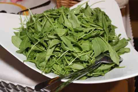 火箭,沙拉,自助餐,冷餐,吃,食物,开胃菜,受益于 火箭,沙拉,自助餐,冷餐,吃,食物,开胃菜,受益于