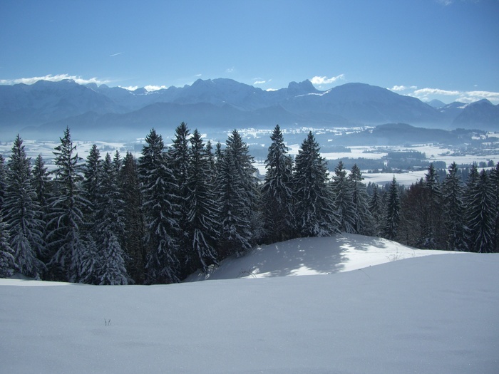 绿色, 松树, 白, 雪, 高山全景, Aggenstein, Breitenberg, 冬天