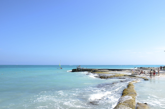 海，海洋，水，波浪，自然，道路，人，游泳